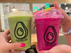 -油梨树AVOCADO TREE(顺义新国展店)