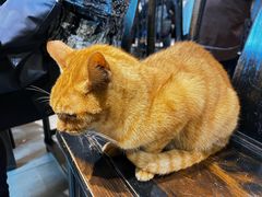 -西园寺素食(西园弄戒幢律寺店)