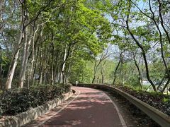 -大屏嶂森林公园