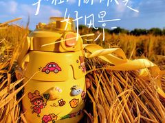 -八卦田遗址公园