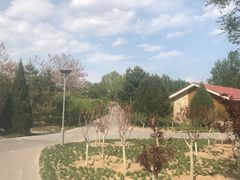 -大兴滨河森林公园