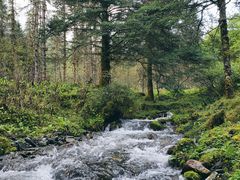 -硗碛藏寨·神木垒景区