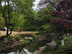 -白马涧龙池景区