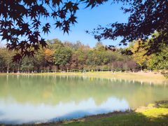 -金陵矩阵(聚宝山公园店)