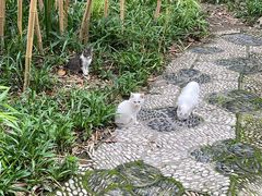 -静安公园(静安寺街道)