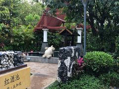 -台山颐和温泉城