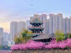 -望江楼公园