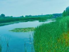 -苏州太湖湖滨国家湿地公园