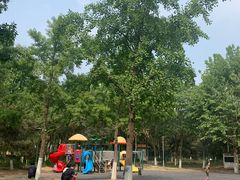 -大兴滨河森林公园