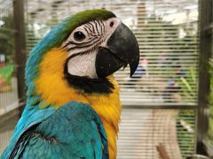 -南宫五洲植物乐园