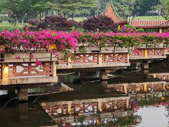 -深圳龙潭公园