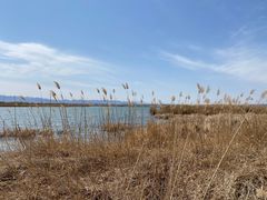 -野鸭湖国家湿地公园