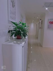 -SILKTONE诗丽堂美容