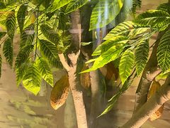 -歌斐颂巧克力小镇