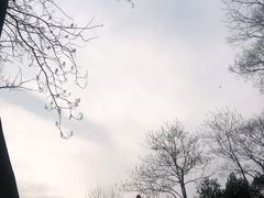 -钟山体育运动公园