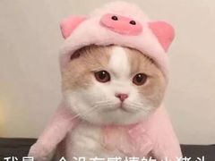 -湖南大学-第4食堂