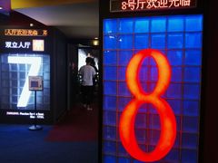 -SFC上影影城(港汇永华IMAX激光店)
