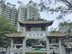 -钟薛高(南头古城店)
