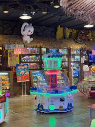 -卡通尼·Safari非洲探索乐园·生日会(金桥国际商业广场店)