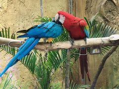 -杭州开元森泊度假乐园