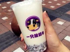 -一只酸奶牛(八一路店)