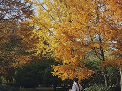 -白塘生态植物园