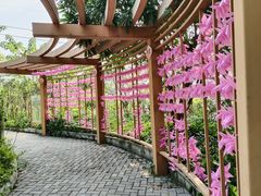 -广州神农草堂中医药博物馆