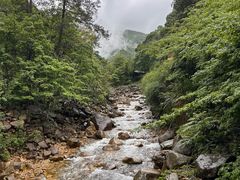 -姑婆山旅游区