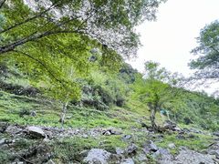-阿依河景区