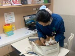 -谐和贝康宠物医院24小时·宠保定点(急重症转诊中心)