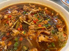 -龙抄手食府(浣花北路店)