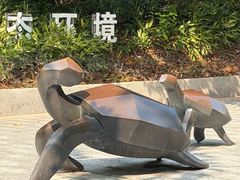 -广东惠东海龟国家级自然保护区