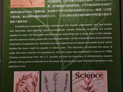 -辽宁古生物博物馆