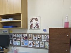 -美联众合动物医院·24h京西诊疗中心