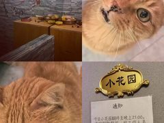 -JOJO实景沉浸侦探剧本杀(大悦城店)