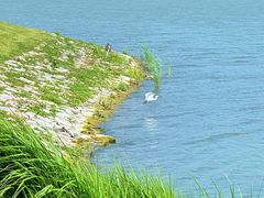 -羊山湖公园