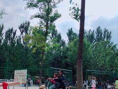 -长白岛森林公园