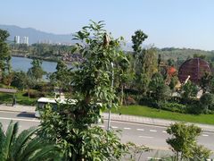 -枫香湖儿童公园