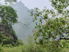 -太平万花山景区