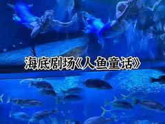 -海合安天津极地海洋公园