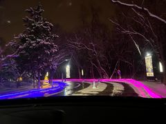 -枫花园汽车电影院(朝阳公园店)