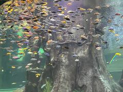 -合肥海洋世界
