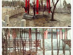 -山东大学(软件园校区)