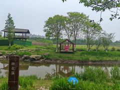 -长田漾湿地公园