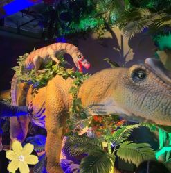 -恐龙探索乐园(磁器口店)