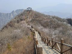 -大岭沟猕猴桃谷风景区