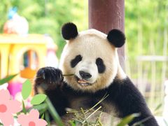 -杭州野生动物世界