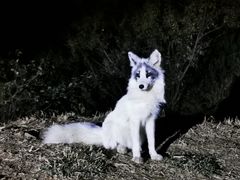 -鬼笑石后山停车场