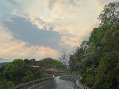 -福道