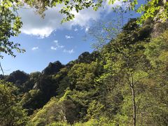 -王顺山国家森林公园